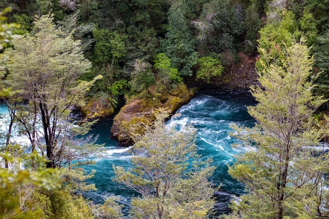 Misty valley landscape in southern Chile
